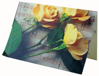postcard