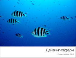 diving