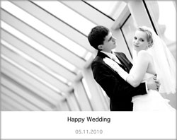 wedd_dan